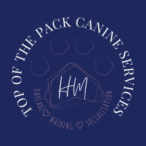 Dog Walking Sandbach