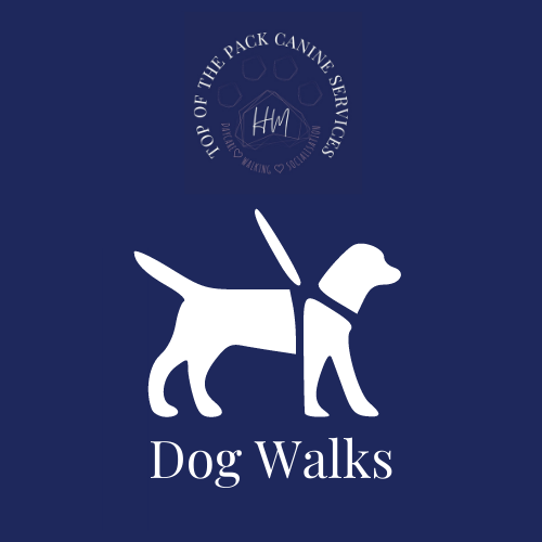 cheshire dog walker