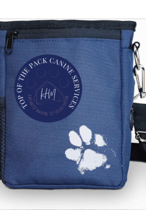 Dog Walking Bag