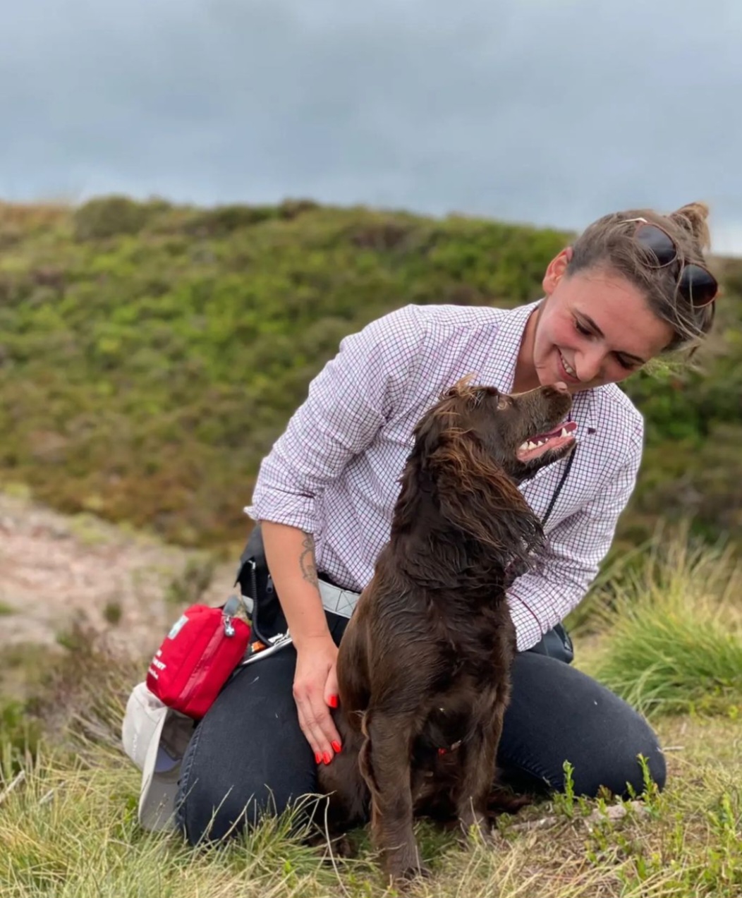 dog training cheshire